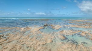 sea landscape beach sand